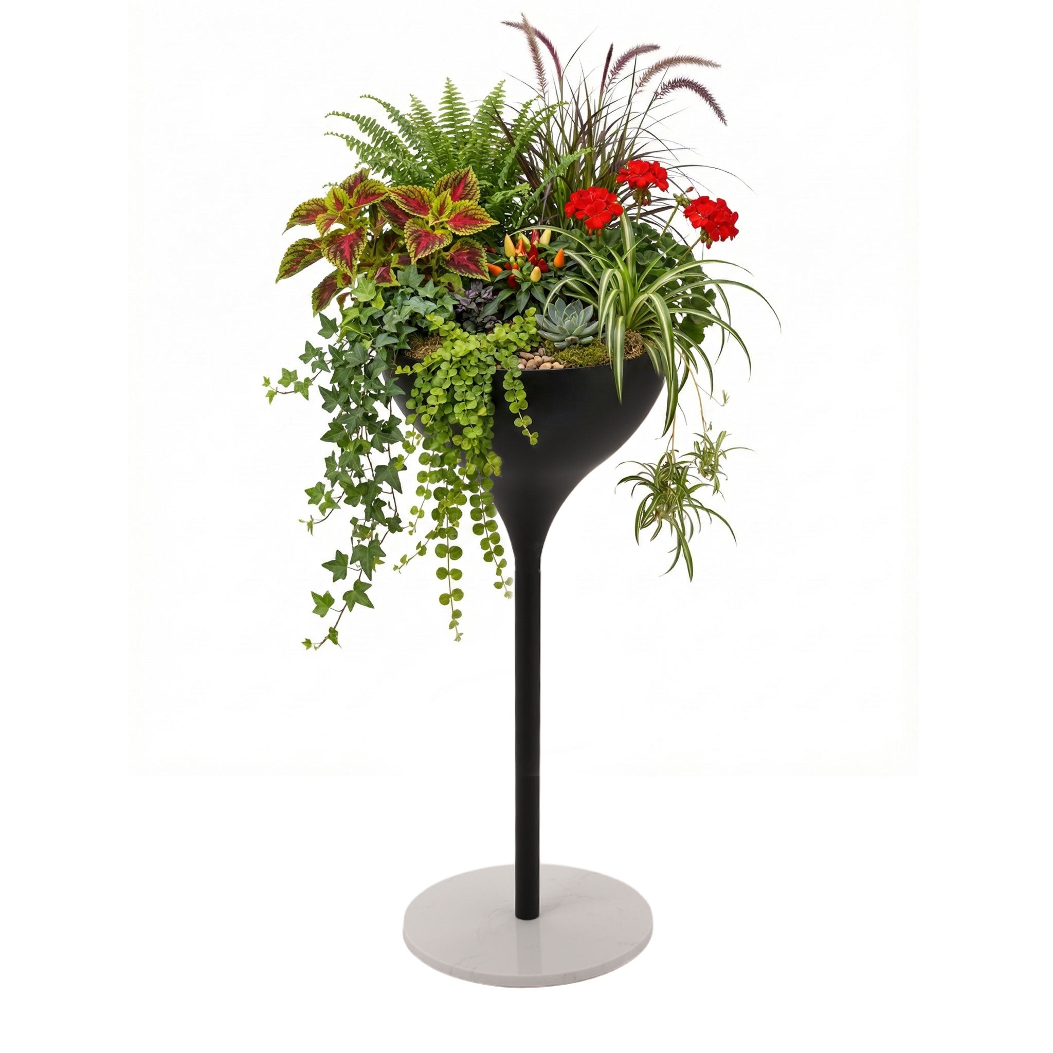 Pure Utopia| Metal Plant Stand| Special Lacquered |Black & White Finish