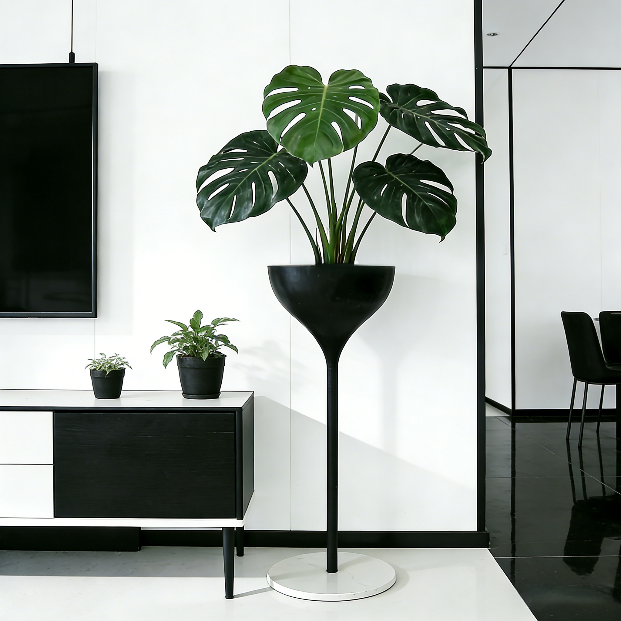 Pure Utopia| Metal Plant Stand| Special Lacquered |Black & White Finish